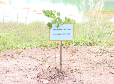 สหกรณ์จังหวัดบึงกาฬ พร้อมด้วยสหกรณ์การเกษตรเมืองบึงกาฬ ... พารามิเตอร์รูปภาพ 38